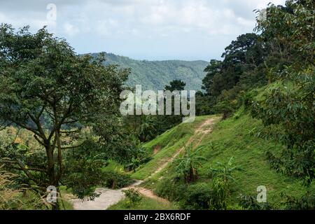 Ein Feldweg zwischen Dschungel und Bergen. Ländliche Feldweg im tropischen Wald in Thailand. Stockfoto