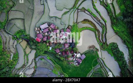 Luftaufnahme auf winzigen Gemeinschaftshäusern Siedlung umgeben von Reisfelder in den Bergen. Batad, Philippinen. Stockfoto