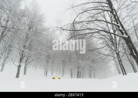 Winter Camping im Schneehalde der Nebrodi Berge natürliche Wahrzeichen in Sizilien Reise Abenteuer wild im Freien Stockfoto