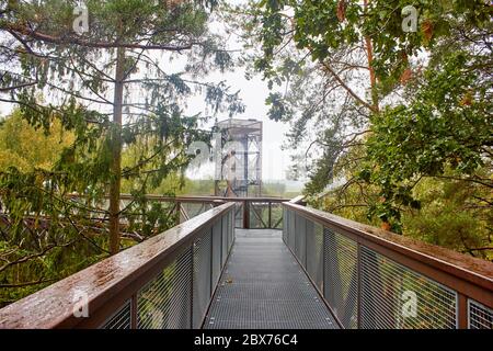 Fußgängerbrücke im Wald mit Turm am Ende Stockfoto