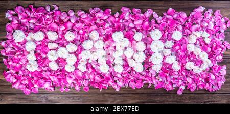 Danksagung aus Ping Damask Rosen auf weißen Rosen Stockfoto