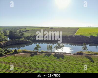 Luftanflug Zuckerrohr Feld in Brasilien und schönen See Stockfoto