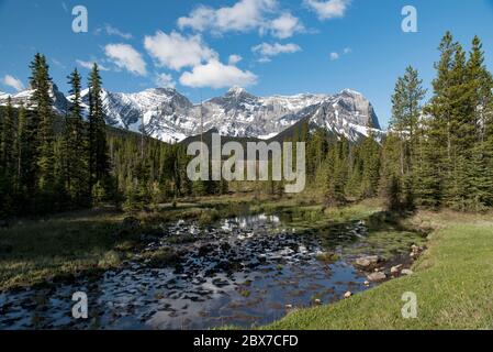 Sumpfgebiet unterhalb des Damms des Upper Kananaskis Lake. Peter Lougheed Provincial Park, Alberta, Kanada im Frühling. Stockfoto