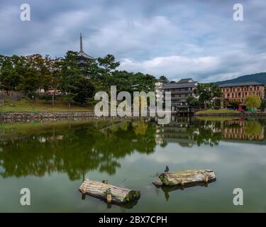 Nara Park (奈良公園, Nara Kōen) ist ein öffentlicher Park in der Stadt Nara, Japan, am Fuße des Mount Wakakusa. Gegründet 1880 Stockfoto