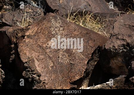 NM00516-00...NEW MEXICO - EINE Vogel-Figur Petroglyph im Rinconada Canyon Bereich des Petroglyph National Monument. Stockfoto