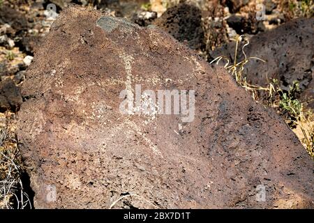 NM00517-00...NEW MEXICO - EINE Stabfigur Petoxyl im Rinconada Canyon Gebiet des Petroglyph National Monument. Stockfoto