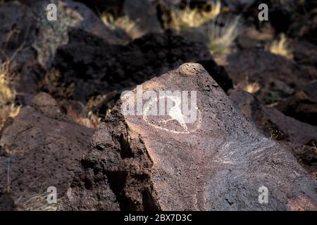 NM00518-00...NEW MEXICO - EIN Vogel-Petroglyphen im Rinconada Canyon Gebiet des Petroglyph National Monument. Stockfoto