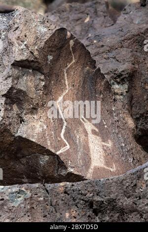 NM00522-00...NEW MEXICO - EINE Schlange und ein Tier, die in den Felsen gepickt wurden, geschaffen von Ancestral Puebloans im Petroglyph National Monument. Stockfoto