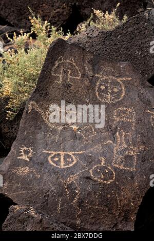 NM00533...MEXIKO - EINE Tafel mit Felszeichnungen, die auf einem basaltischen Felsblock beim Ahnenkellon Puebloans am Marcadas Canyon im Petroglyph National Monument gepickt wurden. Stockfoto