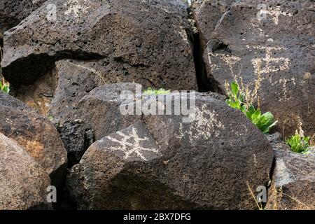 NM00535...NEW MEXICO - EINE Felszeichnung, die auf basaltischen Felsbrocken von den Vorfahren Puebloans in Petroglyph National Monument gepickt wurde, Stockfoto