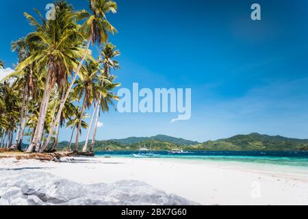 Ipil Strand mit Kokospalmen, Sandstrand und blauem Meer. El Nido, Palawan, Philippinen Stockfoto