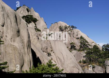 Wenige Pinien in Berg unter sonnigen Tag in Gelben Berg von Anhui Stockfoto