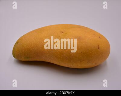 Eine große Mango auf weißem Hintergrund Stockfoto