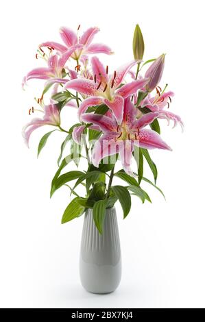 Ornamentales Geschenk, natürliche Lilie und echte Blumen Konzept mit Bouquet von echten rosa Lilien in Vase isoliert auf weißem Hintergrund mit Clipping Pfad Schnitt Stockfoto