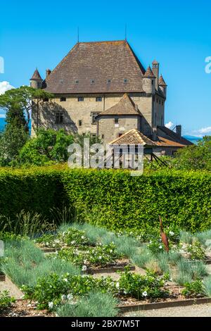 Frankreich, Yvoire, Schloss 14C, Blick vom Jardin des Cinq Sens (Garten der fünf Sinne) Stockfoto