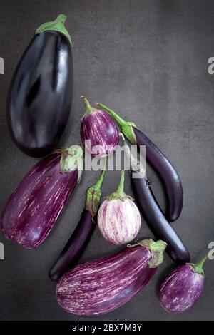 Auberginen Sorten auf schwarzem Schiefer Hintergrund. Ansicht von oben. Stockfoto