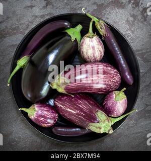 Auberginen Sorten in schwarzer Schale über dunklem Schiefer Hintergrund. Ansicht von oben. Stockfoto