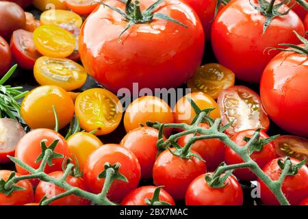 Tomatensorten auf schwarzem Eisen. Stockfoto