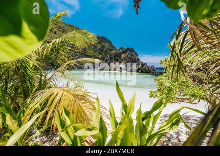 El Nido, Palawan, Philippinen. Unbekannter Star Beach. Wunderschöne flache Lagune und exotische Pflanzen Stockfoto