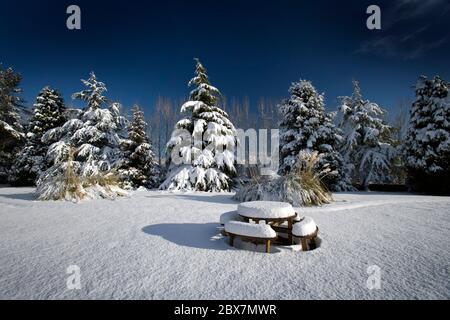 Schneebedeckte Bäume mit Picknicktisch und blauem Himmel an einem sonnigen Tag Stockfoto