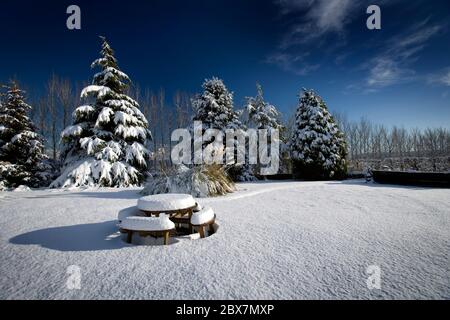 Schneebedeckte Bäume mit Picknicktisch und blauem Himmel an einem sonnigen Tag Stockfoto