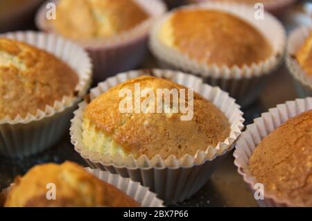 Nahaufnahme des Tabletts mit frisch gebackenen süßen Muffins Stockfoto