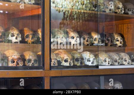 Gefangene menschliche Schädel Tuol Sleng Kriegsverbrechen Genozid Museum, benutzt vom Sicherheitsgefängnis des Roten Khmer Regimes. Phnom Penh Kambodscha Historic Killing Fields Stockfoto