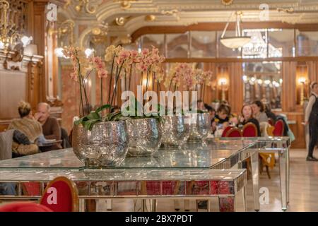 Budapest, Ungarn - Feb 09, 2020: Luxuriöse goldene Halle im New York Cafe Stockfoto