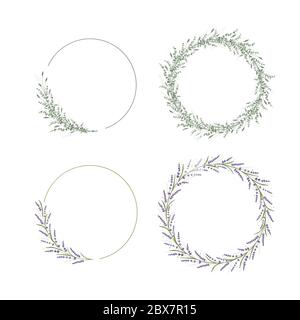 Blumenrahmen Dekoration für Hochzeit und Einladungskarte. Blume und Blatt Design Kreis Vorlage. Eucalipus und Lavendel Zweig. Einrichtung in grünen Bioprodukten Stock Vektor