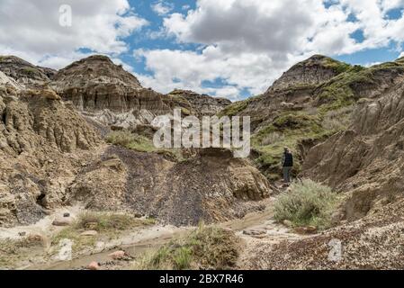 Landformen der Badlands im Horseshoe Canyon, Alberta, Kanada. Stockfoto