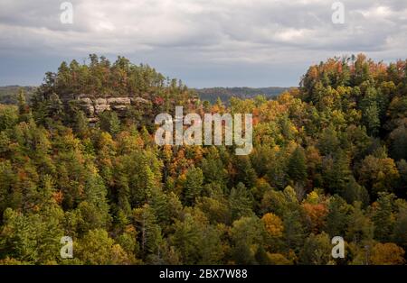 Herbstfarbe in Kentucky. Stockfoto