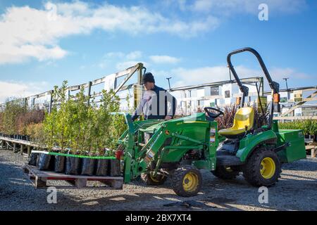 Orari, Canterbury, Neuseeland, Mai 28 2020: Arbeiter in einer einheimischen Pflanzenkurnei füllen Regale und Schichtzeug mit einem kleinen Nutzfahrzeug auf Stockfoto