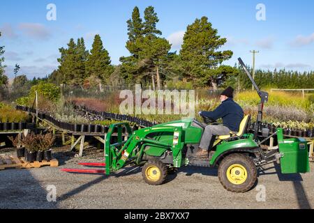 Orari, Canterbury, Neuseeland, Mai 28 2020: Arbeiter in einer einheimischen Pflanzenkurnei füllen Regale und Schichtzeug mit einem kleinen Nutzfahrzeug auf Stockfoto