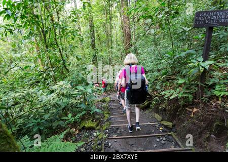 Wanderer in Sensoria, tropisches Regenwaldreservat, Rincon de la Vieja, Provincia de Alajuela, Costa Rica Stockfoto