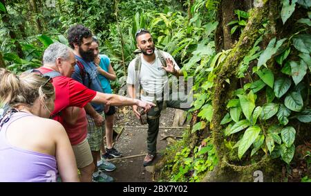 Alan, Reiseführer bei Swiss Travel, kommuniziert mit Wanderern in Sensoria, tropischem Regenwald-Reservat, Rincon de la Vieja, Provincia de Alajuela, Costa Stockfoto