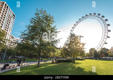 London, Großbritannien - 19. Oktober 2019: Blick auf das Coca-Cola London Eye Beobachtungsrad vom Jubilee Park während des Sonnenuntergangs. Stockfoto