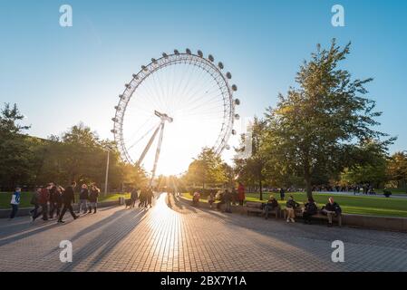 London, Großbritannien - 19. Oktober 2019: Blick auf das Coca-Cola London Eye Beobachtungsrad vom Jubilee Park während des Sonnenuntergangs. Stockfoto