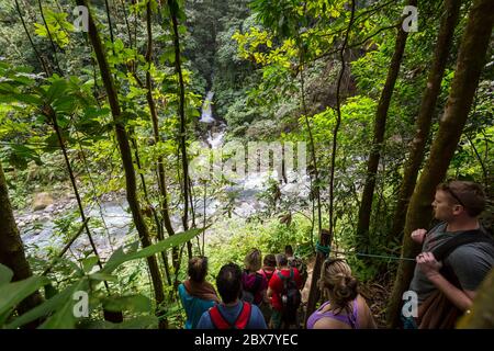 Wanderer in Sensoria, tropisches Regenwaldreservat, Rincon de la Vieja, Provincia de Alajuela, Costa Rica Stockfoto