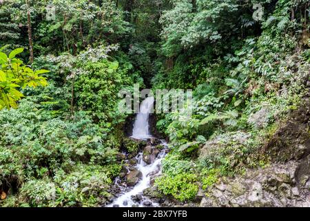 Wasserfall, Sensoria, tropisches Regenwaldreservat, Rincon de la Vieja, Provincia de Alajuela, Costa Rica Stockfoto