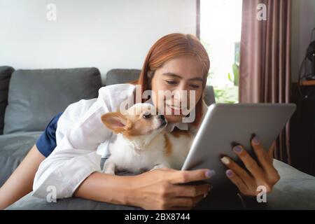 Asiatische Geschäftsfrauen und ein Chihuahua Welpe sind im Zimmer und beobachten die Nachrichten auf einem Tablet - Arbeit von zu Hause aus Stockfoto