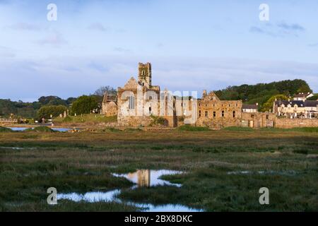 Timoleague, Cork, Irland. Juni 2020. Warmes Morgenlicht erhellt die Abtei in Timoleage, County Cork, Irland. Die 1240 gegründete Abtei ist der Hauptfokus in Timoleague. Es war eines der größten und wichtigsten religiösen Häuser in Irland. - Credit; David Creedon / Alamy Live News Stockfoto