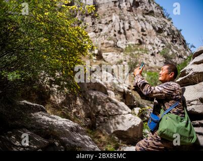 (200606) -- HOHHOT, 6. Juni 2020 (Xinhua) -- Airbin fotografiert Blumen im Tal des Arbas-Berges in Otog Qi von Erdos, Nordchinas Autonome Region Innere Mongolei, 14. Mai 2020. Airbin, 68, ein Mann mongolischer Volksgruppe, versorgt seit zehn Jahren blaue Schafe, die im Tal des Arbas-Gebirges leben. Das wilde Tier lernte er 2010 kennen, als er als Fotoliebhaber den Spuren der blauen Schafe folgte und feststellte, dass die Mutterschafe ihre Babys aufgrund von Milchmangel selten satt füttern konnten. Von da an trug Airbin selbst Fässer mit Wasser bis Th Stockfoto