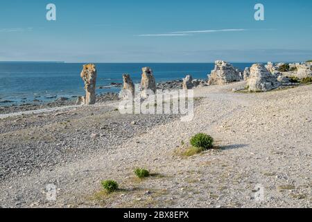 Langhammars auf der Insel Fårö in der Ostsee. Langhammars ist berühmt für seine Sammlung von Kalkstein-Meeresstacks. Stockfoto