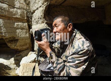 (200606) -- HOHHOT, 6. Juni 2020 (Xinhua) -- Airbin fotografiert blaue Schafe auf dem Arbas-Berg in Otog Qi von Erdos, Nordchinas Autonome Region Innere Mongolei, 14. Mai 2020. Airbin, 68, ein Mann mongolischer Volksgruppe, versorgt seit zehn Jahren blaue Schafe, die im Tal des Arbas-Gebirges leben. Das wilde Tier lernte er 2010 kennen, als er als Fotoliebhaber den Spuren der blauen Schafe folgte und feststellte, dass die Mutterschafe ihre Babys aufgrund von Milchmangel selten satt füttern konnten. Ab diesem Zeitpunkt trug Airbin selbst Fässer mit Wasser nach oben o Stockfoto