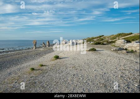 Langhammars auf der Insel Fårö in der Ostsee. Langhammars ist berühmt für seine Sammlung von Kalkstein-Meeresstacks. Stockfoto