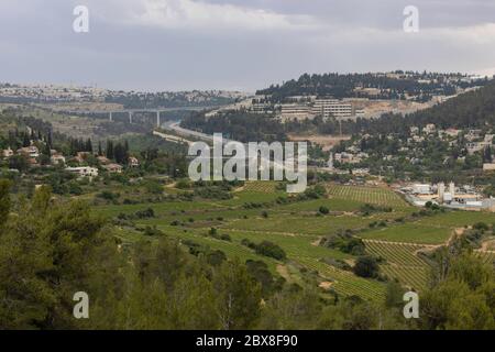 Weinberge und Olivenhaine in einem Tal nördlich von Jerusalem, Israel, mit der Skyline der Stadt im Hintergrund. Stockfoto