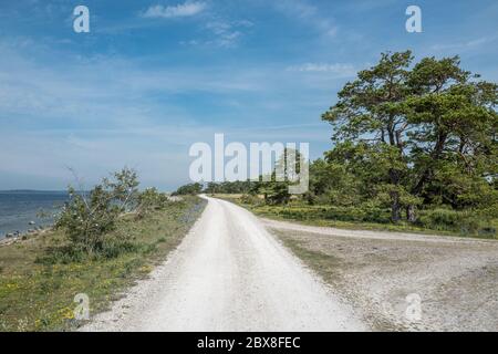 Typische karge Kalksteinlandschaft bei Furillen auf der Ostsee-Insel Gotland in Schweden Stockfoto