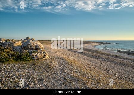 Typische karge Kalksteinlandschaft auf der Ostseeinsel Fårö in Gotland, Schweden Stockfoto