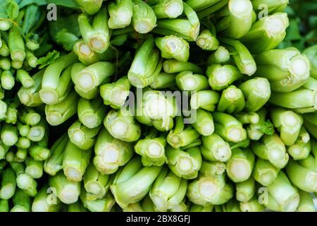 Nahaufnahme eines Strauchzwiebeln in einem Schaufenster. Stockfoto