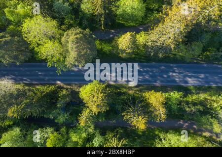 Luftaufnahme einer Straße im Wald im Sommer Stockfoto